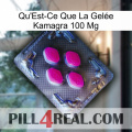 What Is Kamagra Jelly 100Mg 02